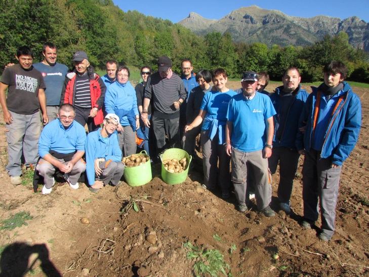 Grupo de personas en un terreno presentado unos baldes de patatas que han recogido