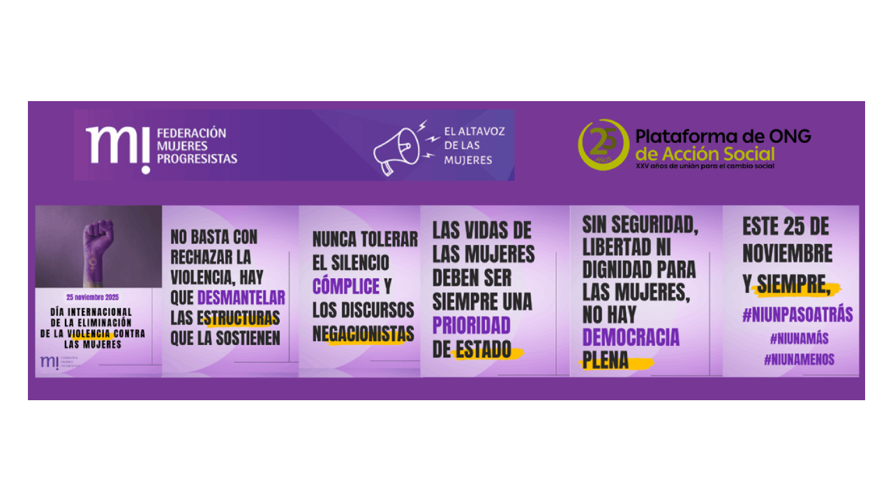 Infografía con varios puntos del manifiesto del 25N