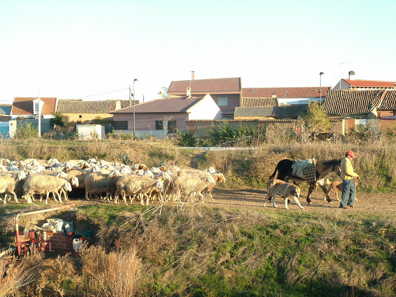 Sostenibilidad en el medio rural