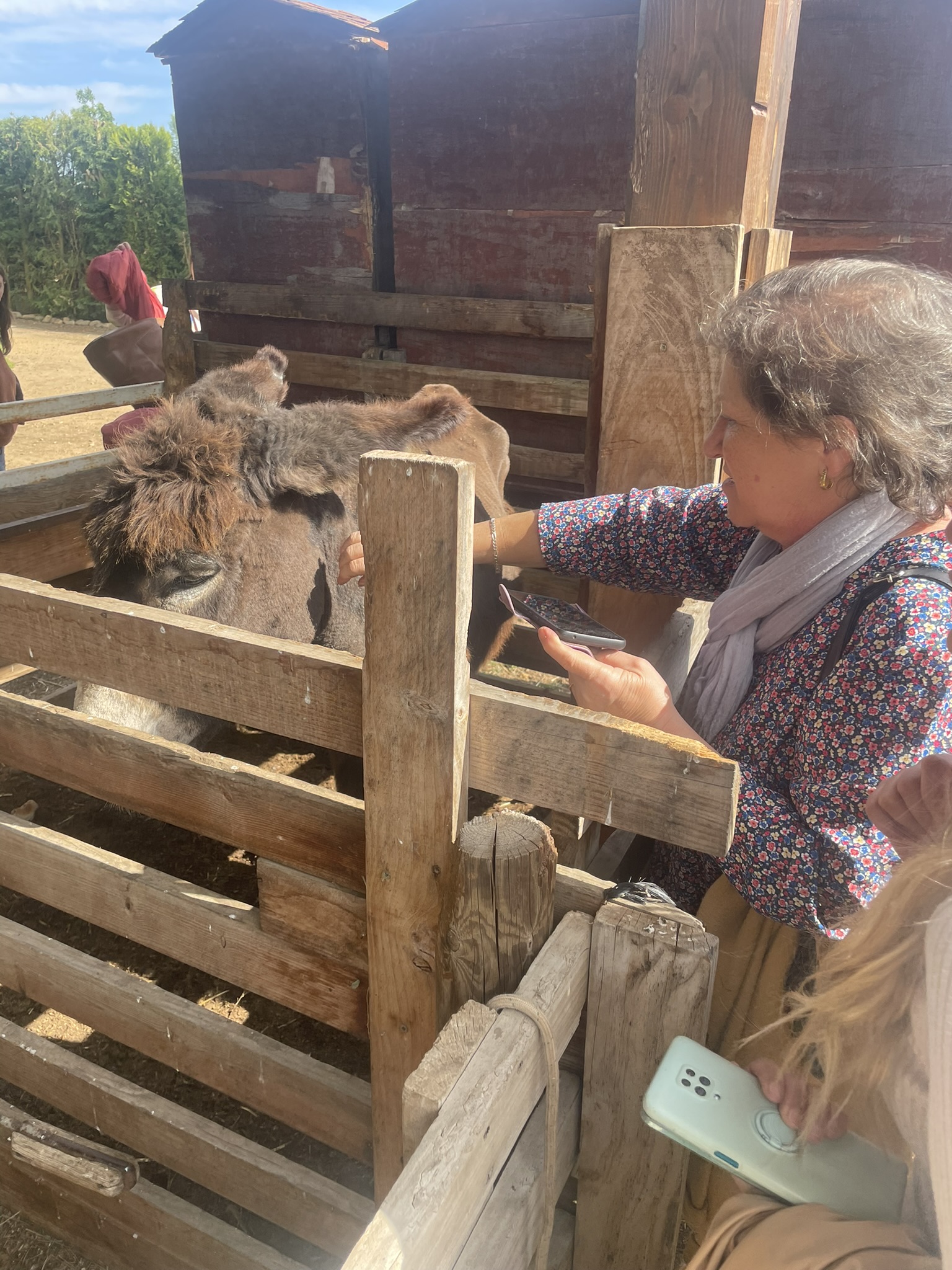 una mujer acaricia un burro en la granja escuela