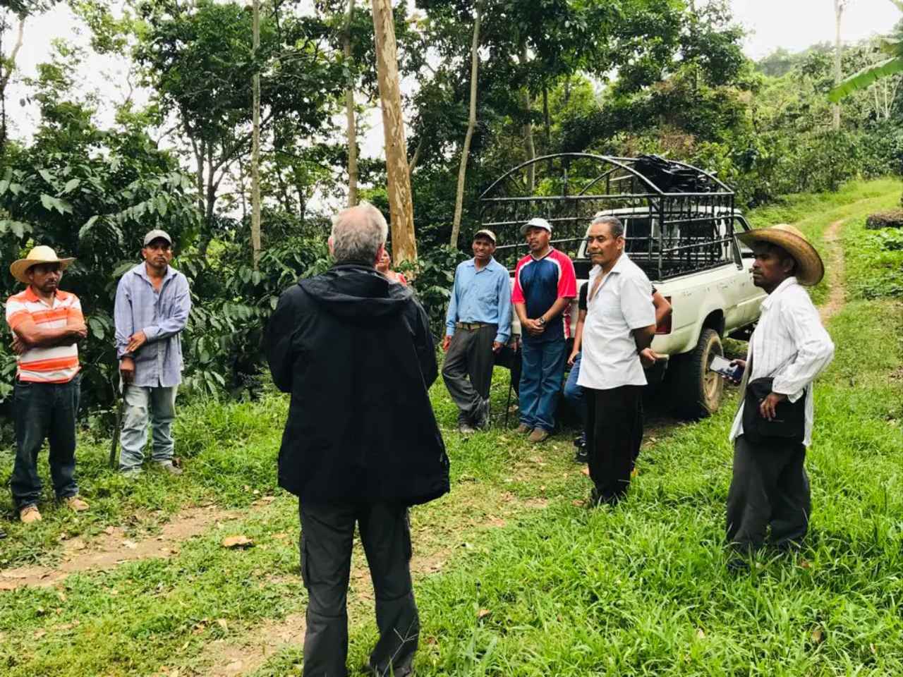 Seis personas en un campo de Guatemala