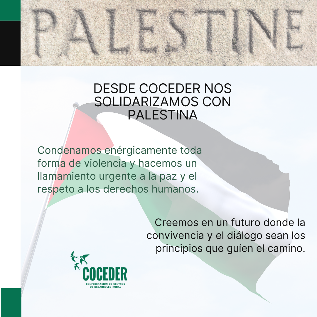 Infografía con la bandera de Palestina y el texto "Desde COCEDER nos solidarizamos con Palestina".