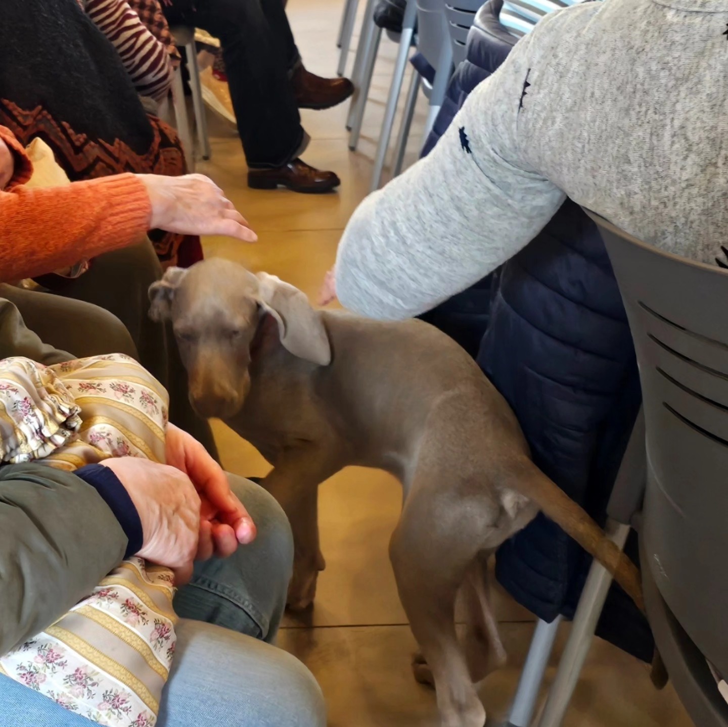 un perro en medio de un grupo de personas sentadas tocándole