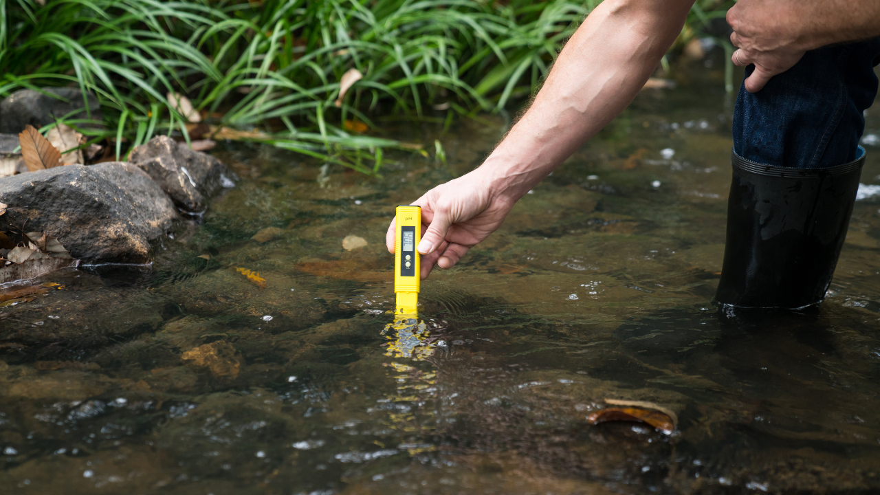 Coceder refuerza la formación especializada de su equipo en el marco del Programa de Investigación Medioambiental
