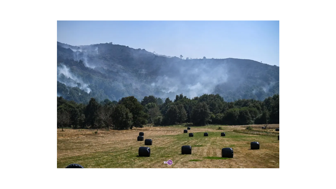 Imagen de un incendio en un bosque