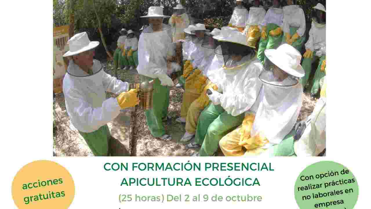 grupo de personas apicultores trabajando 