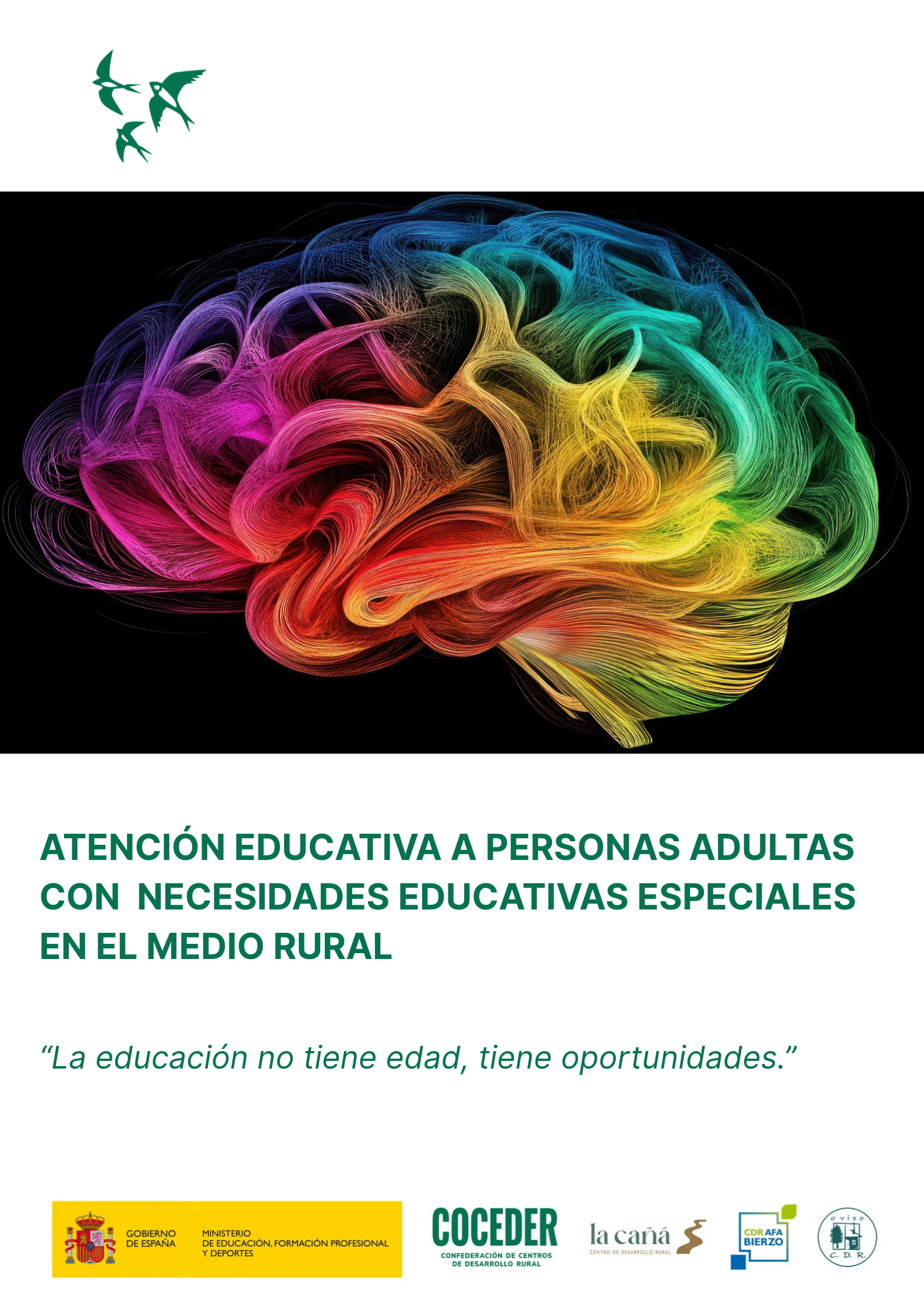 Programa TICs