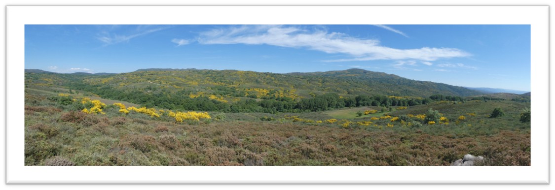 Paisaje en mosaico de Vilardecervos