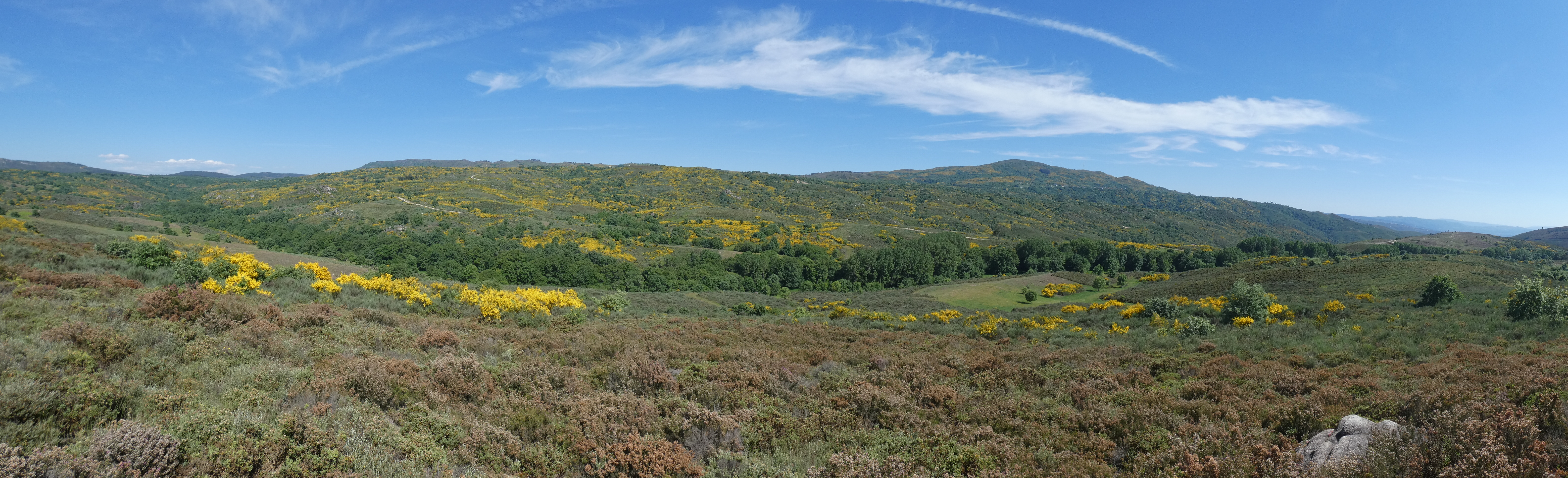 Paisaje en mosaico con prados y monte bajo