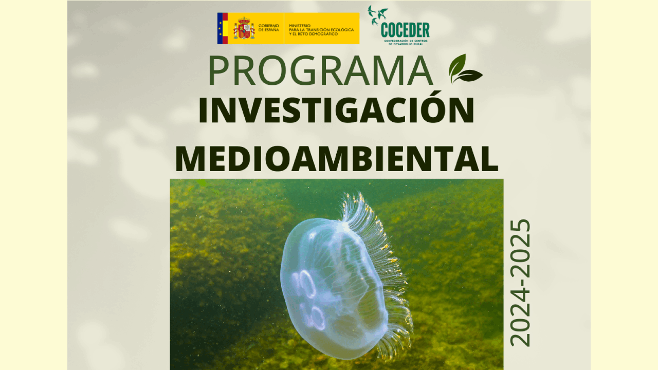 Programa Investigación Medioambiental 2024-2025